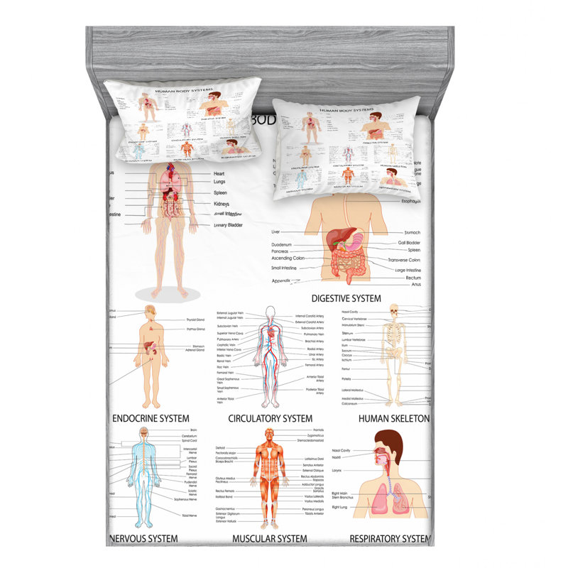 Microfiber Sheet Set, Full Sheet Set + 2 Pillowcases