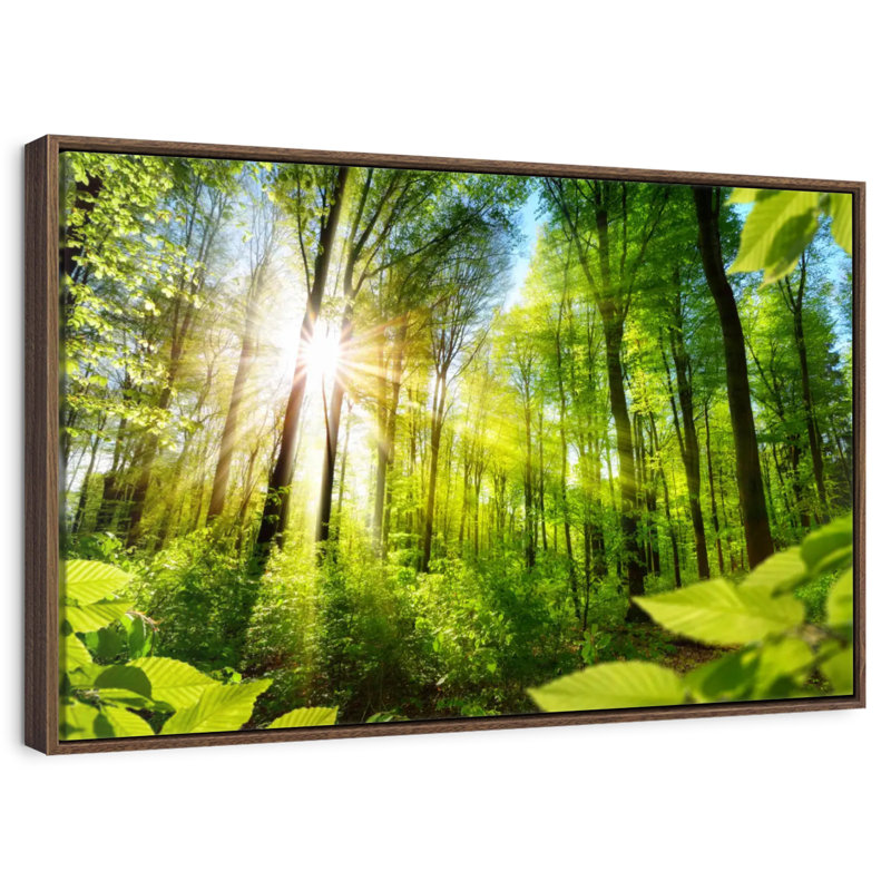 Forêt ensoleillée, 46 po x 31 po, Cadre flottant noyer