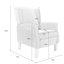 Ozvaldo 70cm Wide Wing Chair Recliner-1341167220