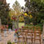 Porch View Cross Back Dining Chair