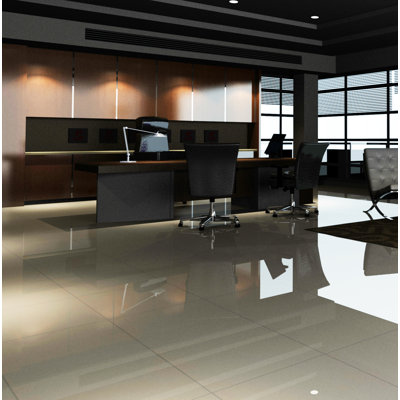 Pietre Del Nord 12'' L x 3'' W Porcelain Bullnose Tile Trim