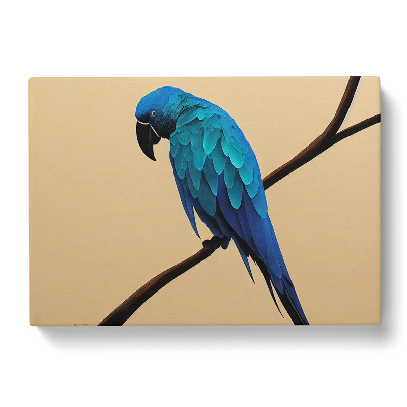 Perched Parrot - Wrapped Canvas, 50cm H x 76cm W x 3cm D