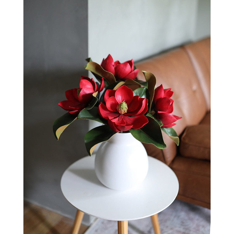 Magnolia rouge cramoisi 24 po