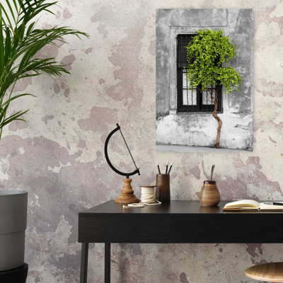 Green colour Pop Tree in front of the window of a house Calle San Jose Colonia Del Sacramento Uruguay 1 Piece Wrapped Canvas Wall Art