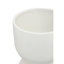 Antrione Pot Planter-233627364
