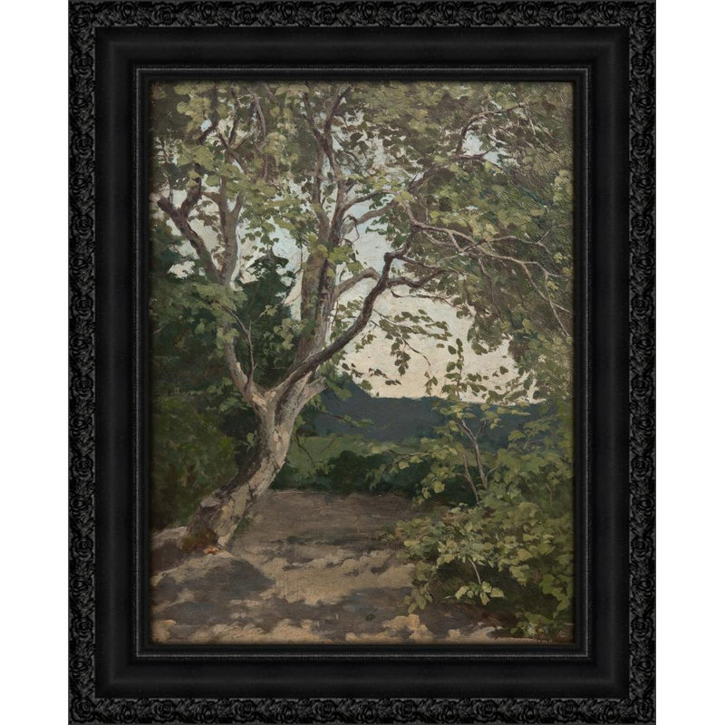 A Tree. Study, 18" H x 15" W
