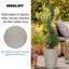 Rustic Style Rolled Rim Vase Planter By Idealist Lite-817098879-817098876