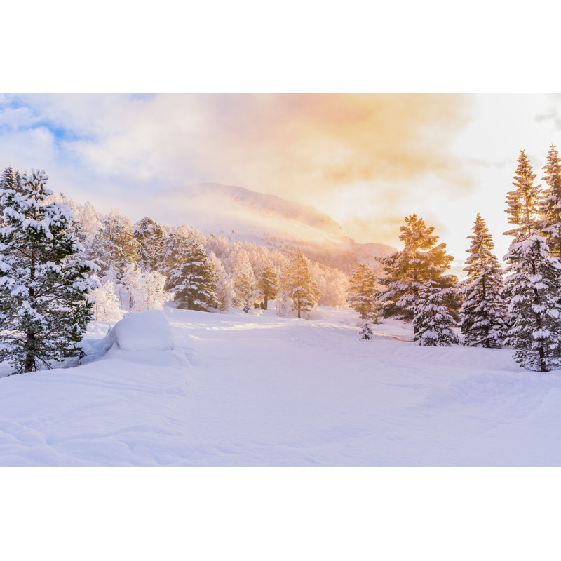 Firs With Sunrise, Winter by Markusbeck - Wrapped Canvas Print, 30cm H x 46cm W