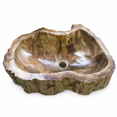 Lavabo en bois pétrifié, naturel