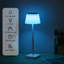Ahlanni Metal Table Lamp
