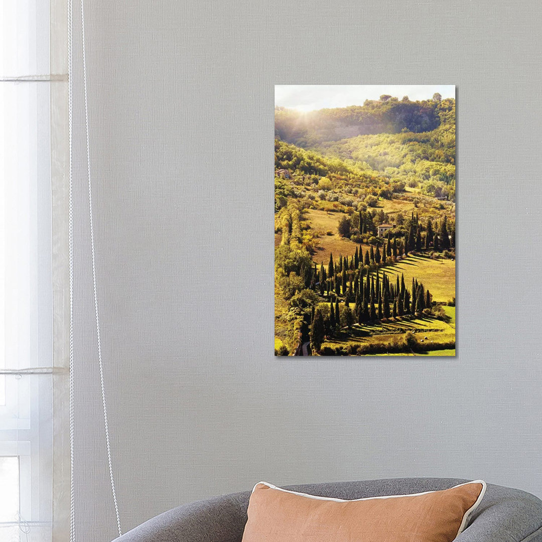 Countryside In Tuscany Italy With Cyprus Trees von Susan Richey - Gallery-Wrapped Canvas Giclée on Canvas