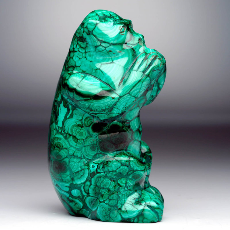 Malachite Monkey