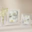 Waterford Celebration Frame-1172186067
