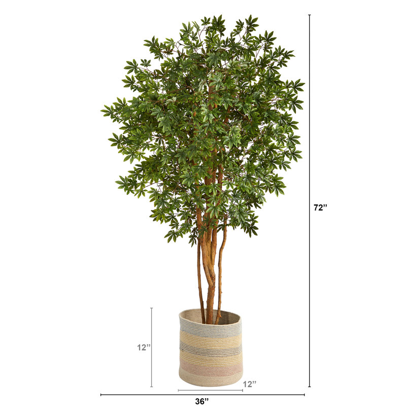 72'' Faux Maple Tree in Burlap, Cotton Planter
