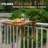 Solid Acacia Wood Folding Balcony Table-2032094532