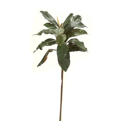 Branche de magnolia 36 po