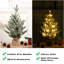 Mini sapin de Noël illuminé 24 pouces avec 50 lumières DEL - Arbre de pin artificiel de table 2 pi pour la maison, le bureau ou le bureau