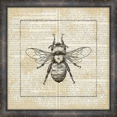 « abeilles on writing »-pictrure, impression sur papier
