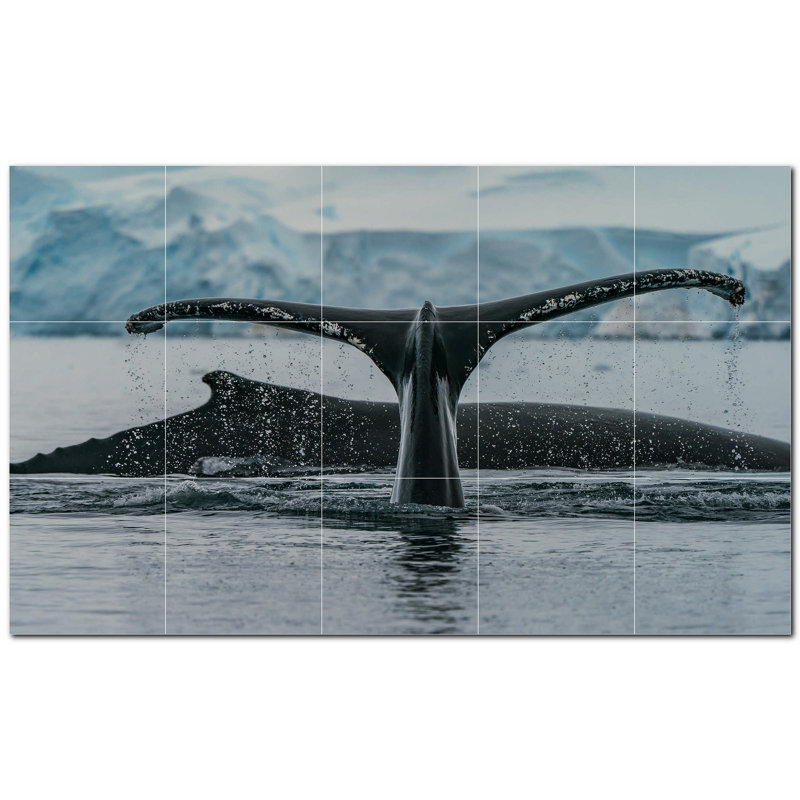 Murale en céramique satinée Whale Photo 12 po x 12 po