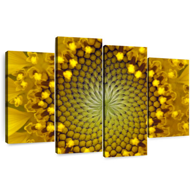 Harnek tournesol symétrique