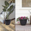 Shiye Pot Planter-66653519