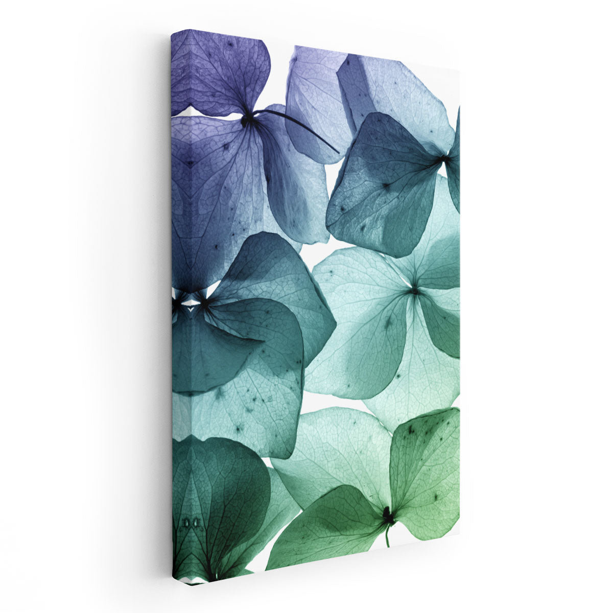 Lark Manor Turquoise Flower Petal Abstract Art - Canvas Print Wall Art ...