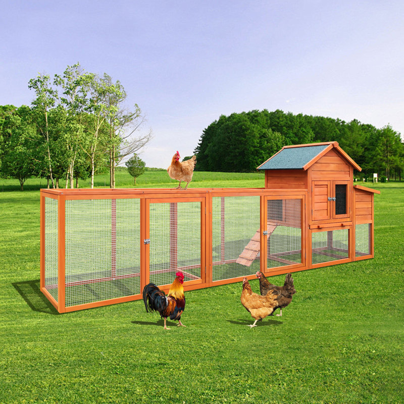 Grand poulailler en bois 122 ＂, Naturel