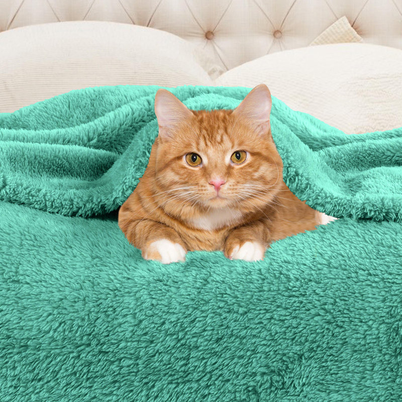 Superior Solid Polyester Reversible All-Season Fleece Throws Blanket, Turquoise, Throw XL