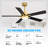 Rolanda 52" 5-inch Downrod Mount Ceiling Fan with Light Kit and Remote Control-1927761638
