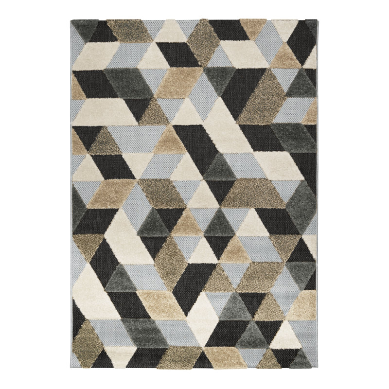Imboden Rectangle Geometric Indoor / Outdoor Area Rug, Rectangle 120cm x 170cm