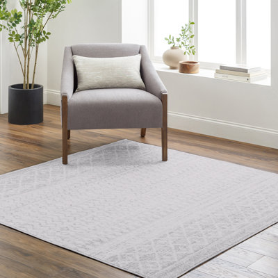 Narine Machine Woven Grey/White Indoor Rug