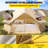 VEVOR 8-Person 100% Cotton Canvas Bell Tent 13 ft in Dia. Waterproof Canvas Camping Tent