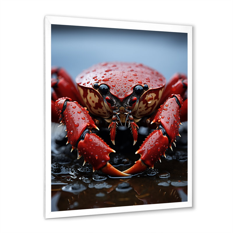 Corail gris homard Portrait vibrant - impression, H 32 po x l 24 po x P 1 po, Cadre photo blanc