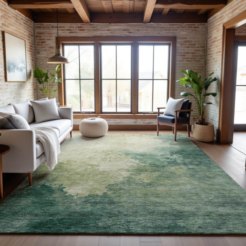 Premium Machine Washable Ducote AMF1138 Watercolors Rug, Rectangle 5 pi x 7 pi 6 po