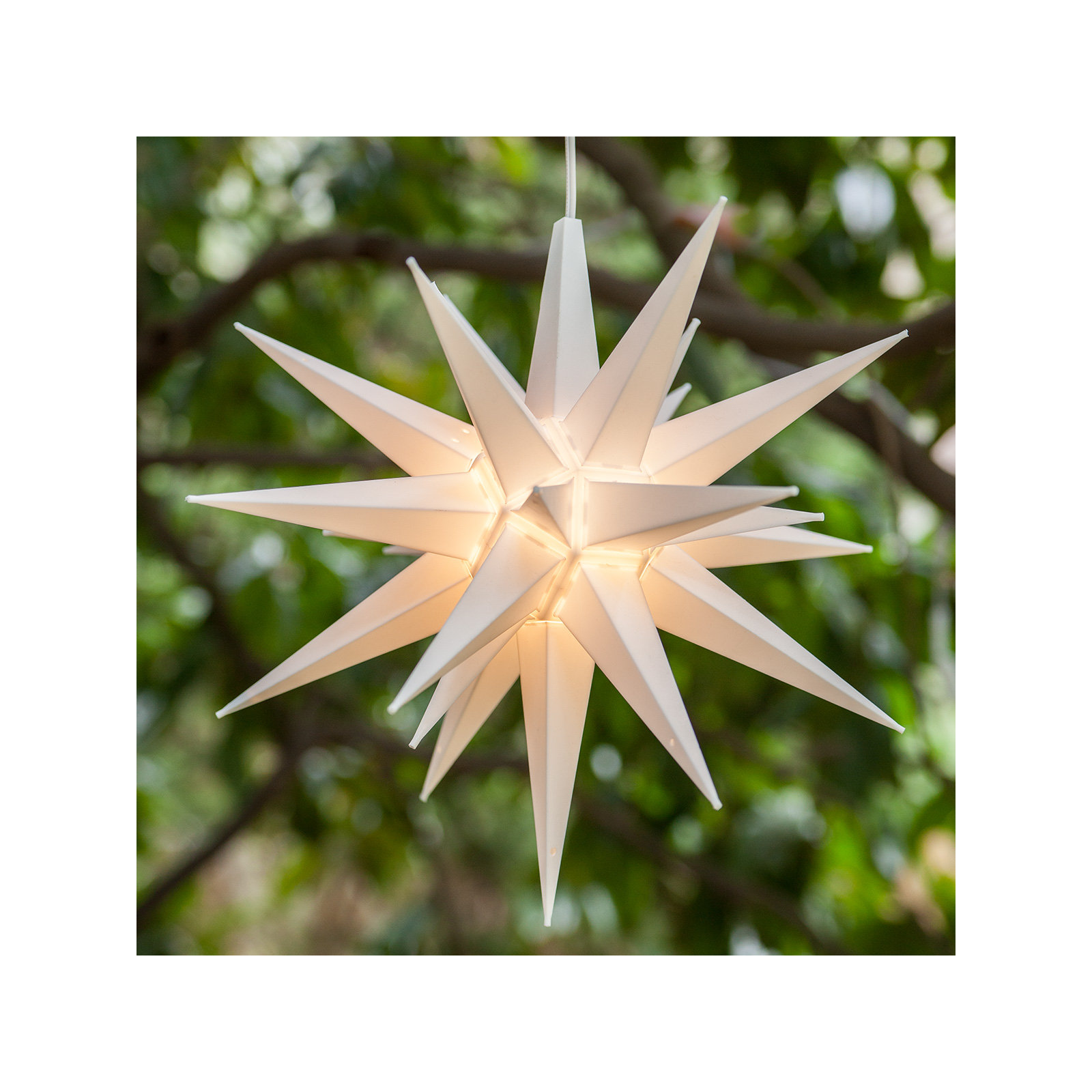 Moravian Star Lighted Display, White