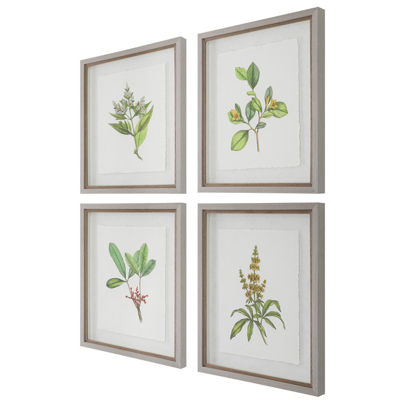 " Wildflower Study " 4 - Pieces