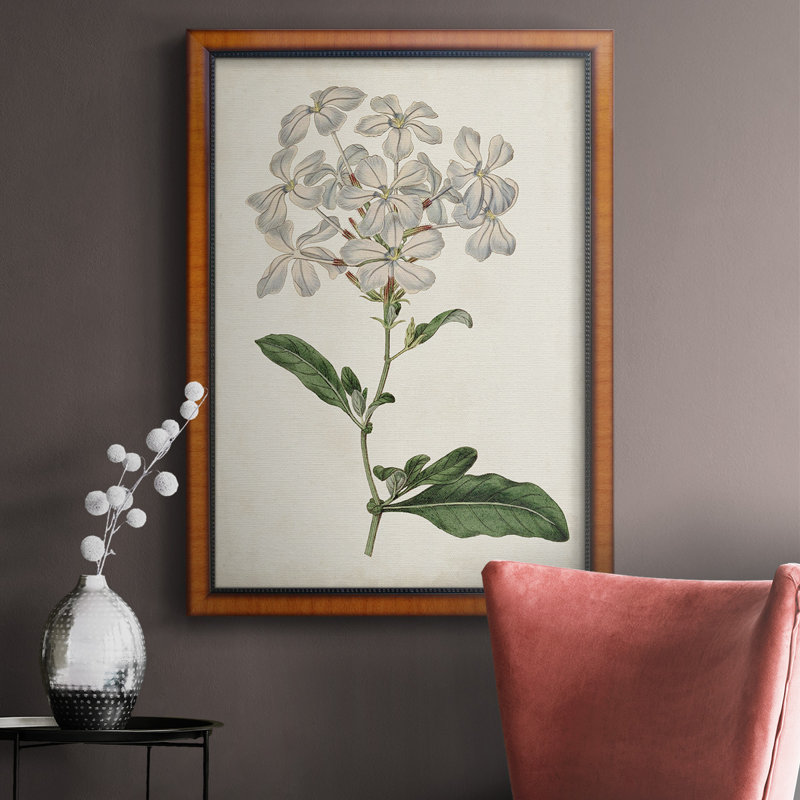 Toile encadrée de qualité supérieure Antique Botanical Collection, H 27 po x l 18 po x P 2,5 po