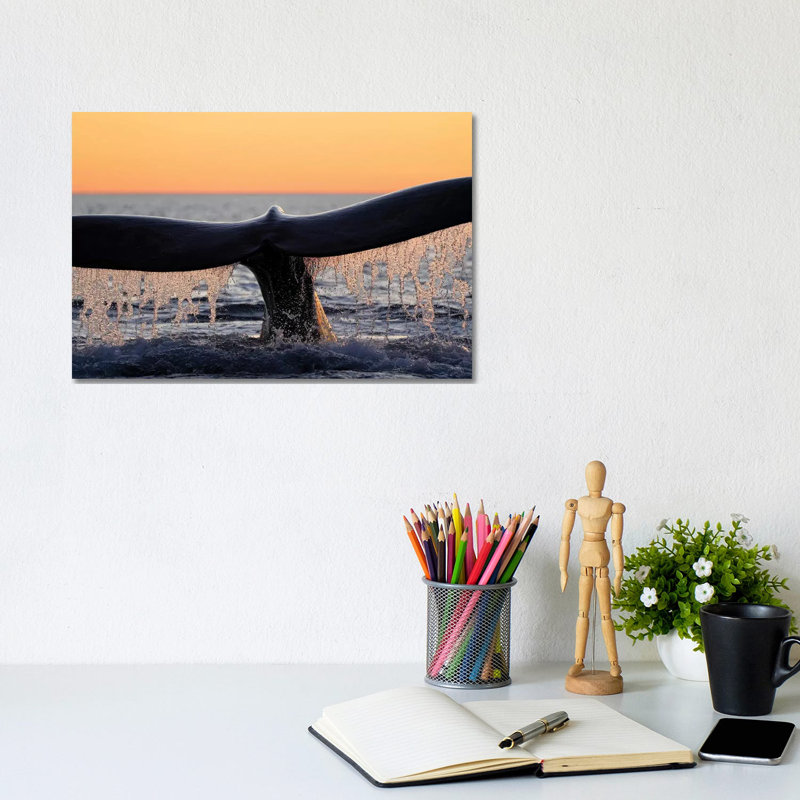 Southern Right Whale Diving, Peninsula Valdez, Argentina by Hiroya Minakuchi - Wrapped Canvas Print, 20.32 cm H x 30.48 cm W