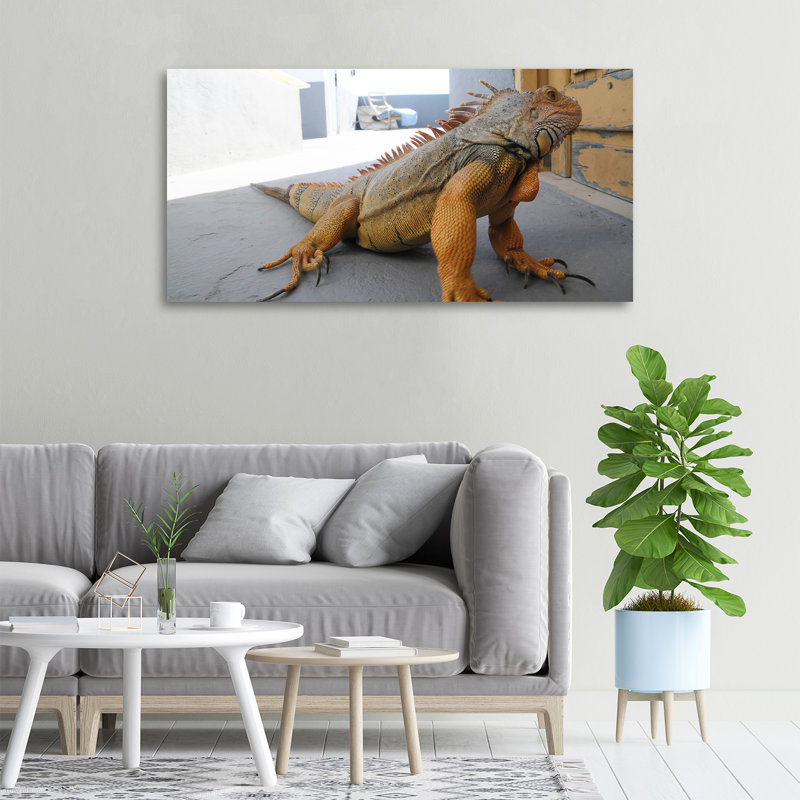 Iguana - No Frame Print on Canvas