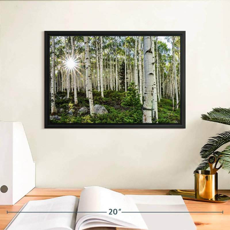 Harnek Aspen Forest Sunburst, H 9 po x l 13 po