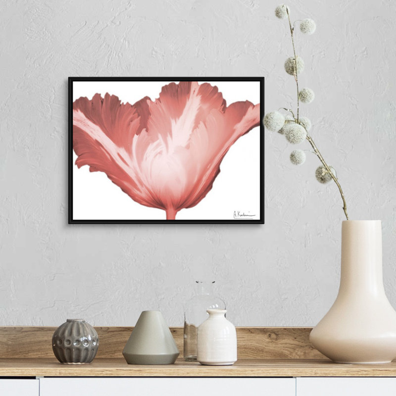 "Coral Blossom 1" par Albert Koetsier, reproduction d’art sur toile, Toile avec cadre noir, H 14 po x l 18 po x P 1,75 po