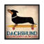Inconnu, «Dachshund Longboard», impression sur toile tendue-72408510-72408511-72408512
