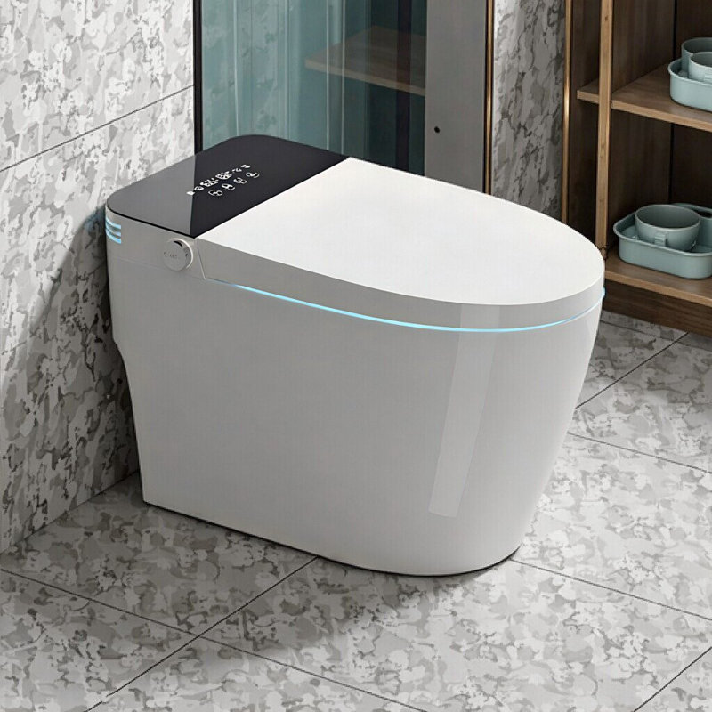 Toilette intelligente une pièce avec chasse d'eau, siège chauffant et télécommande Smart