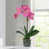 Pink selected
