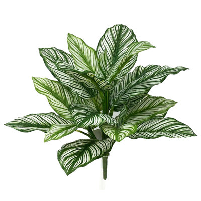 Ensemble de 2 branches artificielles Calathea Whitestar