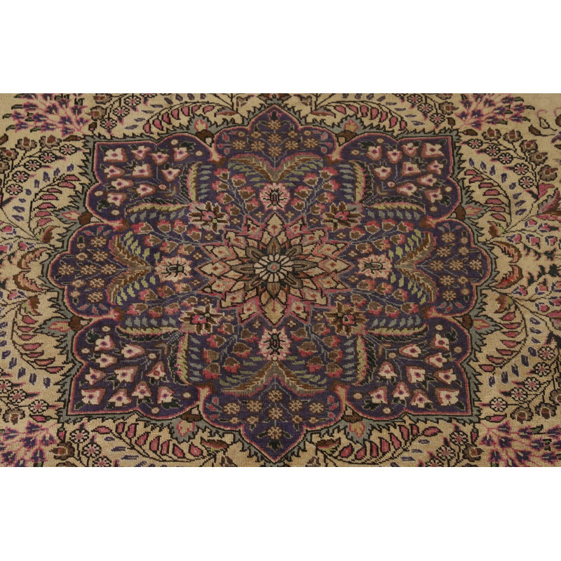 Tapis traditionnel rétro 8 x 11