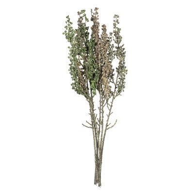 Senecio Arrangement
