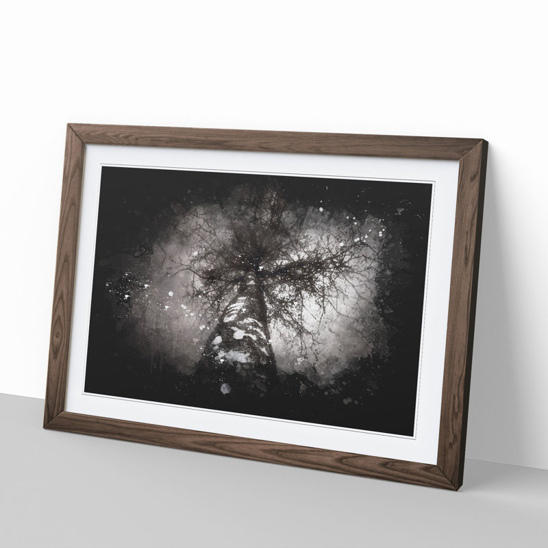 Birch Tree - Picture Frame Graphic Art, 27cm H x 36cm W x 2cm D, Walnut