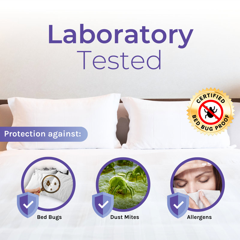 Hygea Natural Tear-Free Vinyl Box Spring & Mattress Cover - Waterproof, Anti-Bed Bug and Allergen-proof, Zippered Encasement -  Durable Protection