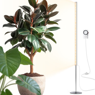 Éclairage de culture sur pied Barrina T2s pour plantes d'intérieur avec minuterie, Ppfd de 65 W 660nm, plein spectre, argent
